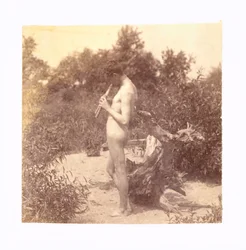 Estudo de Flautista Permanente para Arcádia, c. 1883.