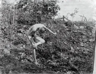 Extrator de Espinho, c. 1883.