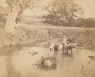 [Três crianças e um cão a brincar no riacho, 4 de Julho de 1883], 1883., 1883., 1883.