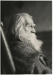 Walt Whitman em Camden, Nova Jérsia