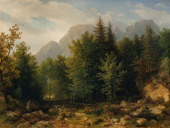 Paisagem florestal nas altas montanhas