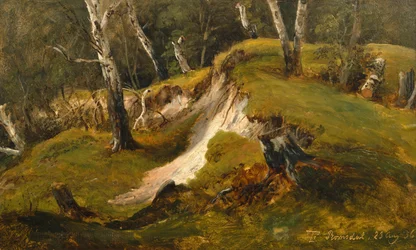 Existências de Birck em Romsdal