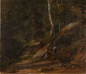 Estudo de floresta de Romsdal