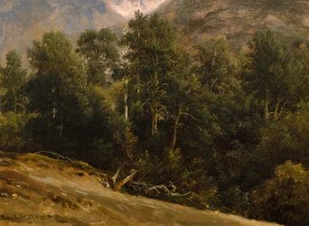 Floresta em Romsdal