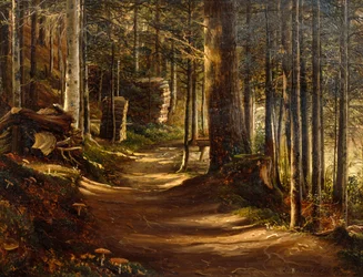 Estrada em floresta de coníferas