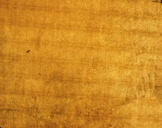 Marca d&39;água no verso da imagem 352792, 1759