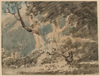 A orla de um bosque