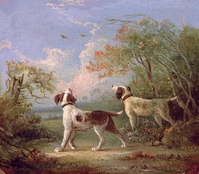 Spaniels em uma paisagem