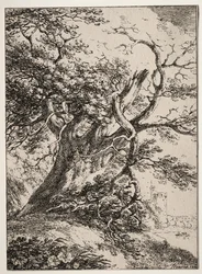 Espécimes de Poliautografia: Paisagem com um Carvalho, 1803.