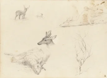 Caderno de esboços de paisagens e animais, 1860-64.