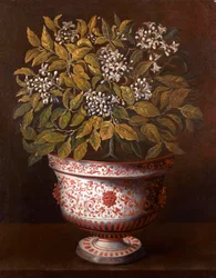 Vaso de terracota com um arbusto laranja em flor
