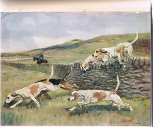 Atravessando a parede, ilustração de &39;Hounds&39;