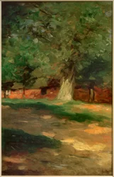 Quinta atrás de uma árvore grande