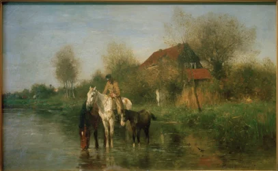 Cavalos na água