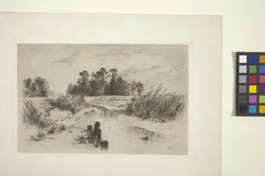 Paisagem pantanosa com riacho (gravura em papel)