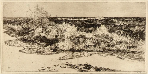 O mar sonoro