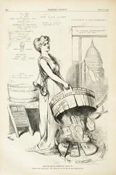 Esta banheira não tem fundo para ficar em pé, 1875 (gravura em madeira)