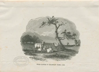 Chartley Hall - Park: gravura em xilogravura