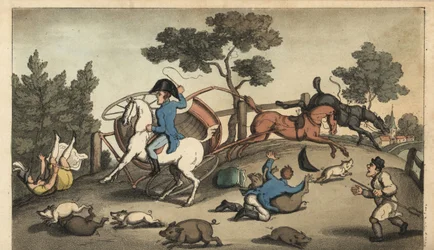 O Johnny e uma Lady fazem um concerto numa manada de porcos. Gravura em chapa de cobre colorida à mão por W. Leia depois de uma ilustração de Thomas Rowlandson de The Adventures of Johnny Newcombe de Alfred Burton na Marinha, Simpkin, Londres