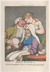 Despacho médico ou doutor em dose dupla matando dois pássaros com uma pedra, novembro..., 20 de novembro de 1810.