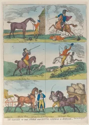 Seis classes do animal nobre e útil um cavalo, 10 de outubro de 1811., 10 de outubro de 1811.