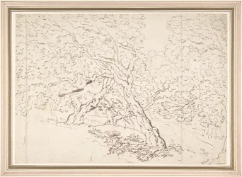 Estudo das árvores
