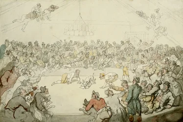 O Westminster Pitt, 1798