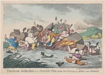 Viajante refrescado em uma piscina Stagnet [sic], após as fadigas de um empoeirado..., 1º de fevereiro de 1809.