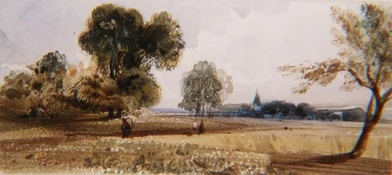 Números num caminho através de um milheiral (aguarela)