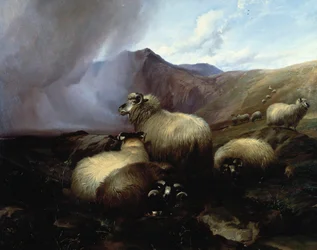 Ovelhas das montanhas em uma paisagem montanhosa, 1854