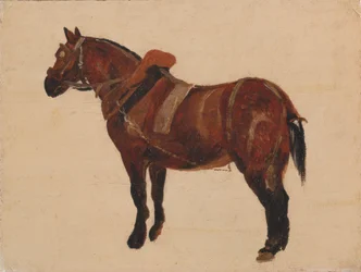 Estudo de um cavalo de trabalho