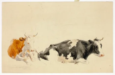 Duas vacas reclinadas (frente); esboço de uma vaca de pé (verso)