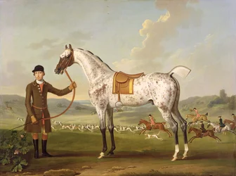 Cipião, caçador manchado do coronel Roche, c.1750