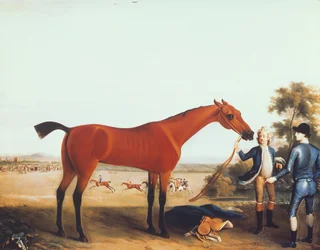 O cavalo de corrida do Duque de Devonshire 