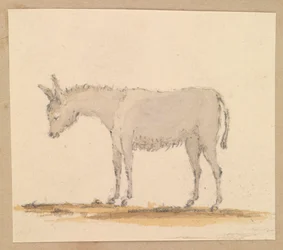 Estudo de um burro, c.1820 (caneta e tinta, lavagem, aguarela)