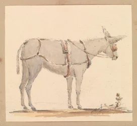 Estudo de um burro com freio e arreios, c.1820 (lápis com lavagem castanha e cinzenta sobre papel)