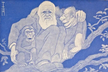 1909 desenhos animados Darwin com detalhe de macaco