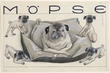 pugs