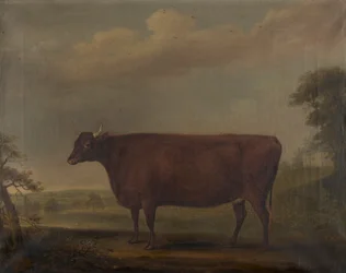 Vitelas Red Devon na paisagem, c.1812 (óleo sobre tela)