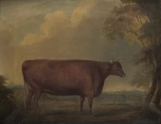 Red Devon Novilhas em paisagem, c.1812 (óleo sobre tela)