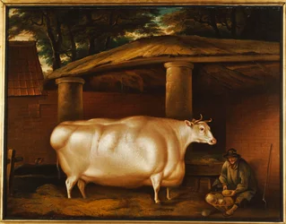 A novilha branca que viajava, com um homem cortando nabos em um quintal estável, 1811