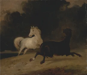 Cavalos numa tempestade de trovoada