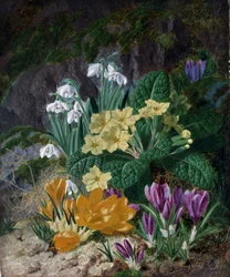 Flores da primavera (incluindo açafrão e prímulas). Pintura de Thomas Worsey (1829-1875) Coleção particular.