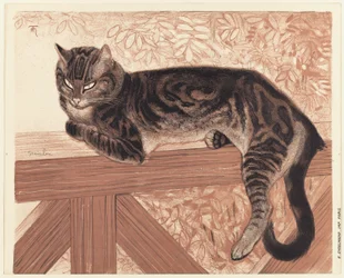verão: Gato numa balaustrada