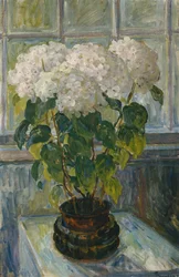 Hortênsia