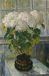 Hortênsia