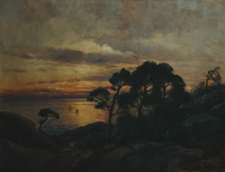 Pinheiro ao pôr do sol