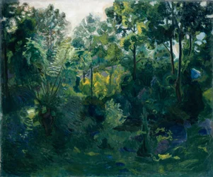 Interior da floresta