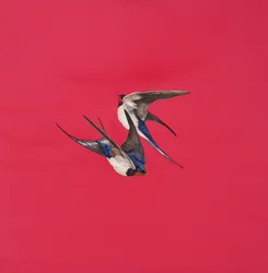 Redemoinho-Vermelho, Aguarela e guache no quadro da Aguarela, 50,8 x 50,8 cm
