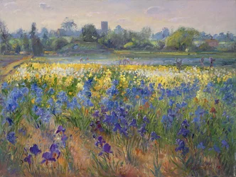 Blue Haze na Burgate, 1993
